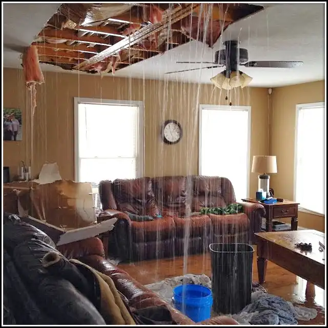 Water Damage Restoration services in Douglas, AZ