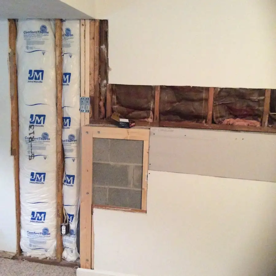 Wall insulation replacement during Basement Flood Cleanup in Douglas